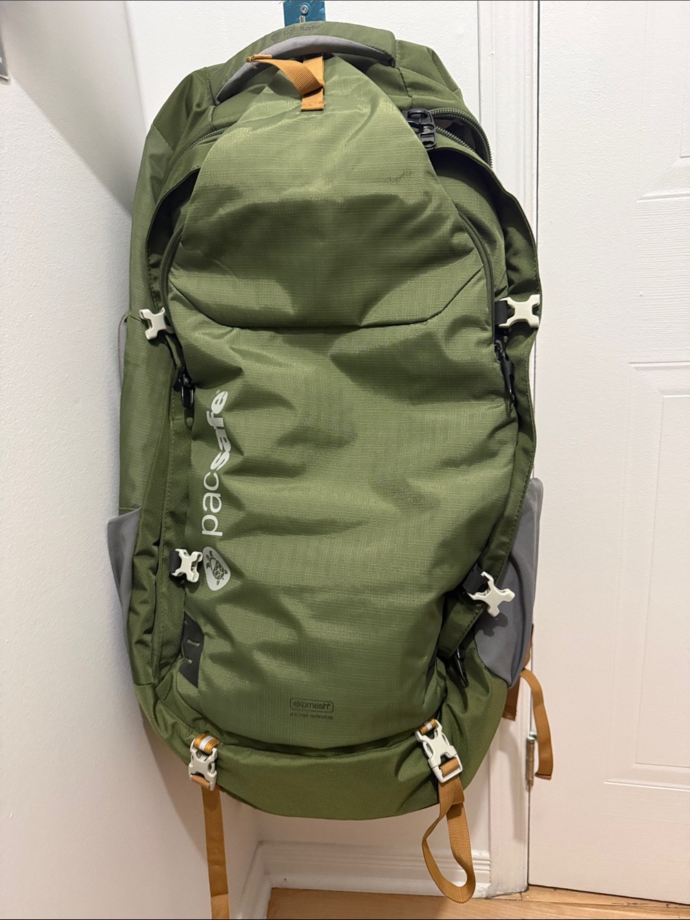 Pacsafe Olive Green Backpack with Tan Accents